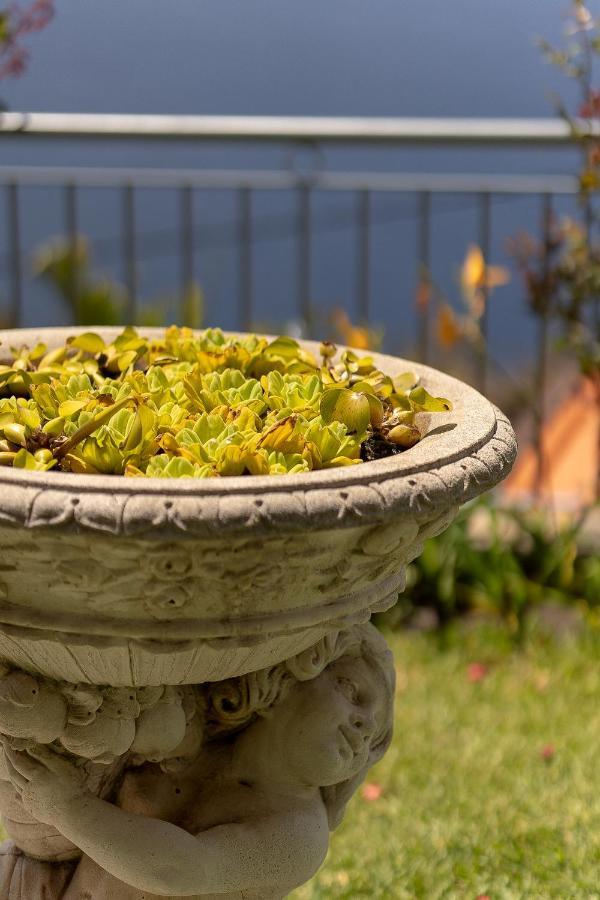 O Meu Sonho Villa Calheta  Ngoại thất bức ảnh