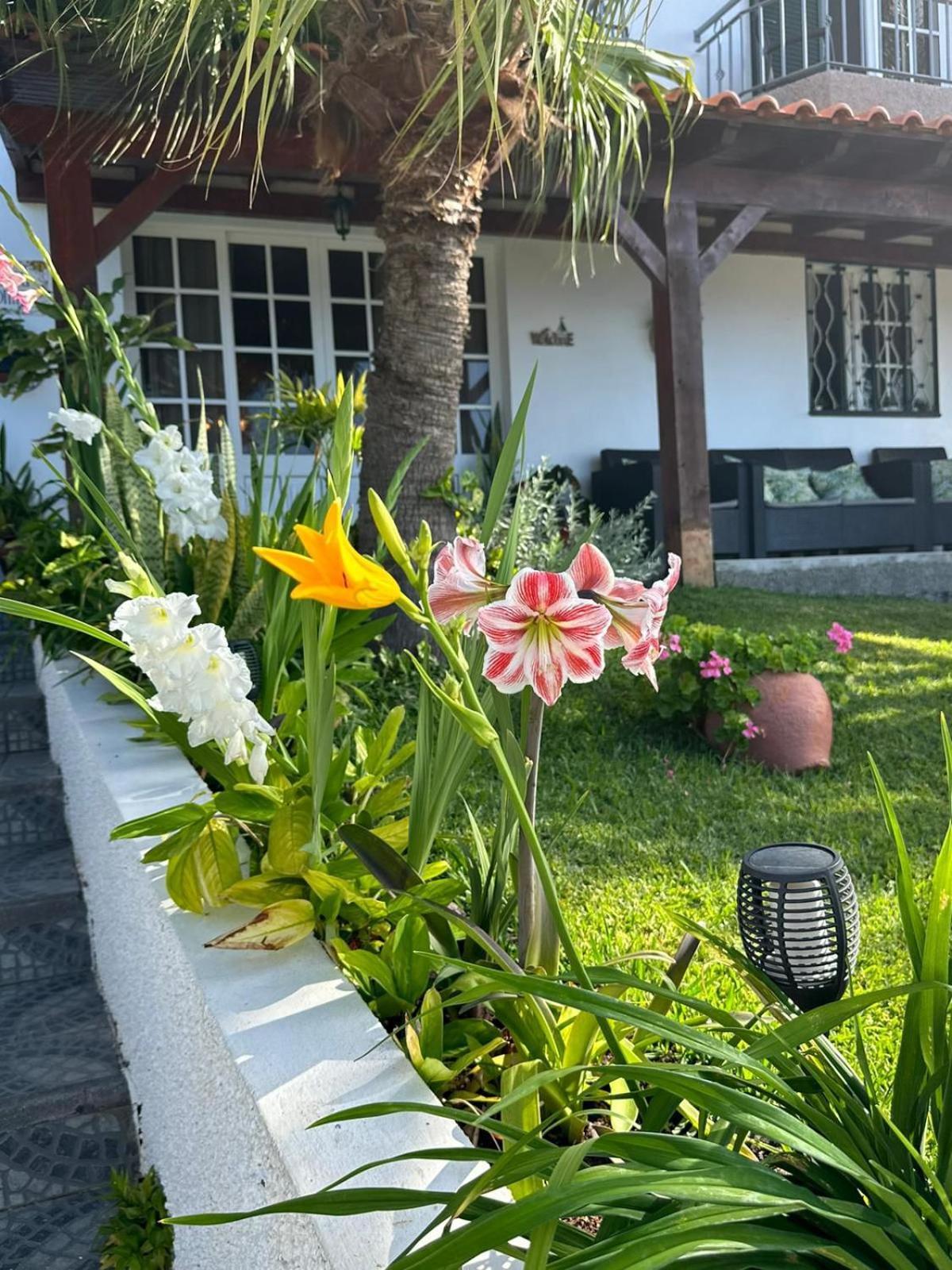 O Meu Sonho Villa Calheta  Ngoại thất bức ảnh
